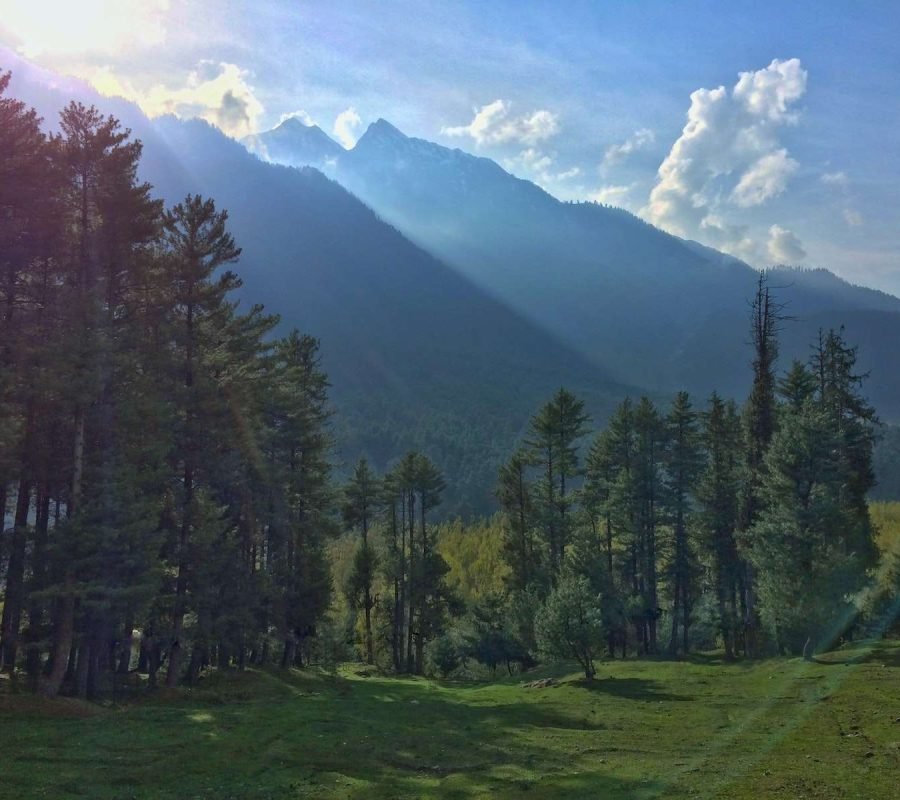 Top Tourist Places In Jammu And Kashmir Gulmarg Pahalgam