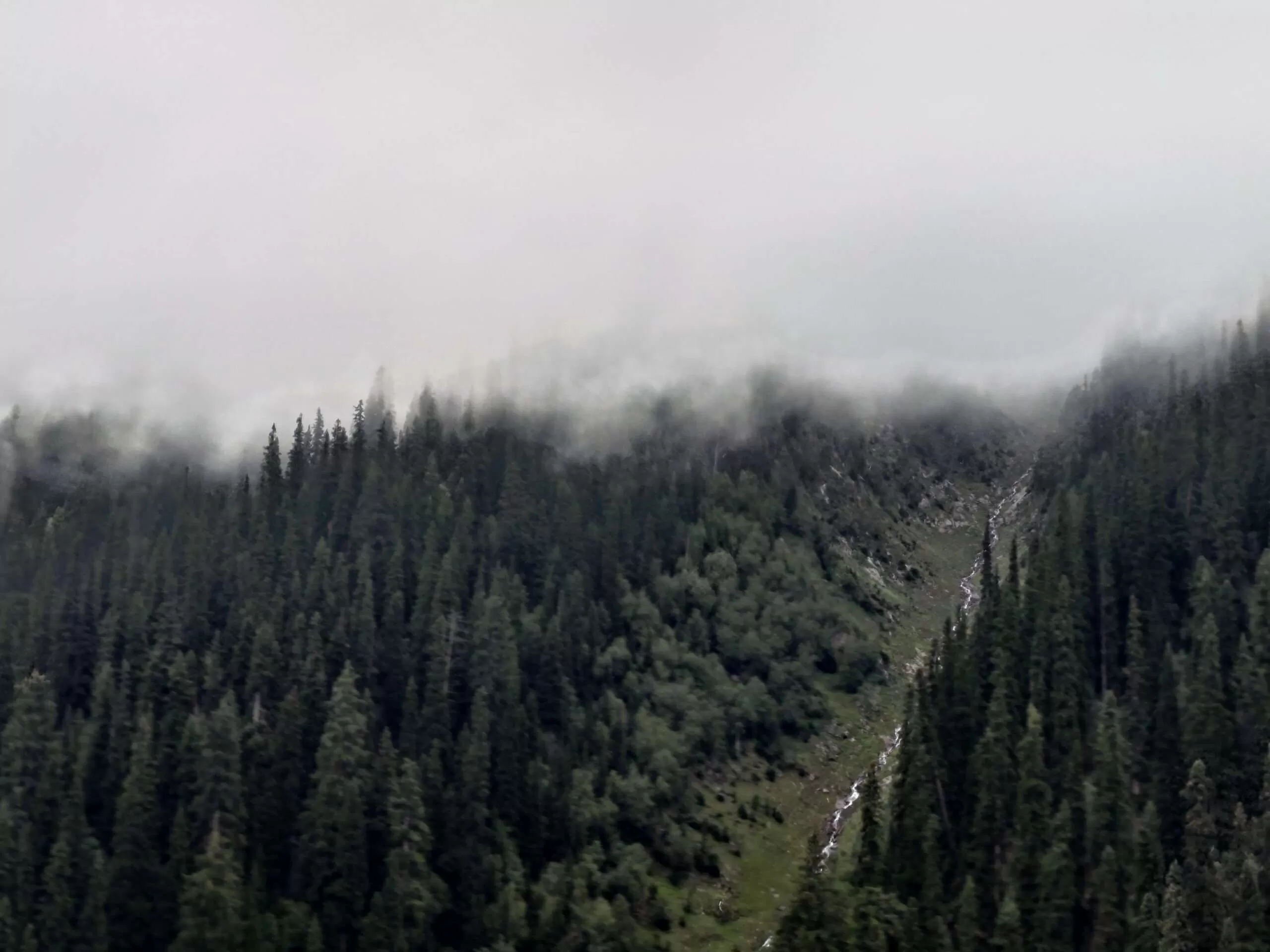 P_20220824_114655