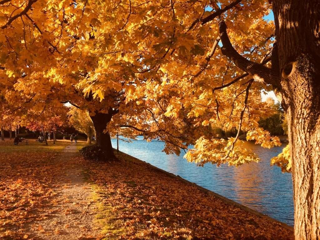 autumn in kashmir