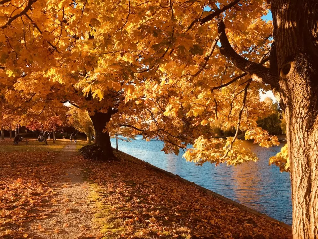 autumn in kashmir