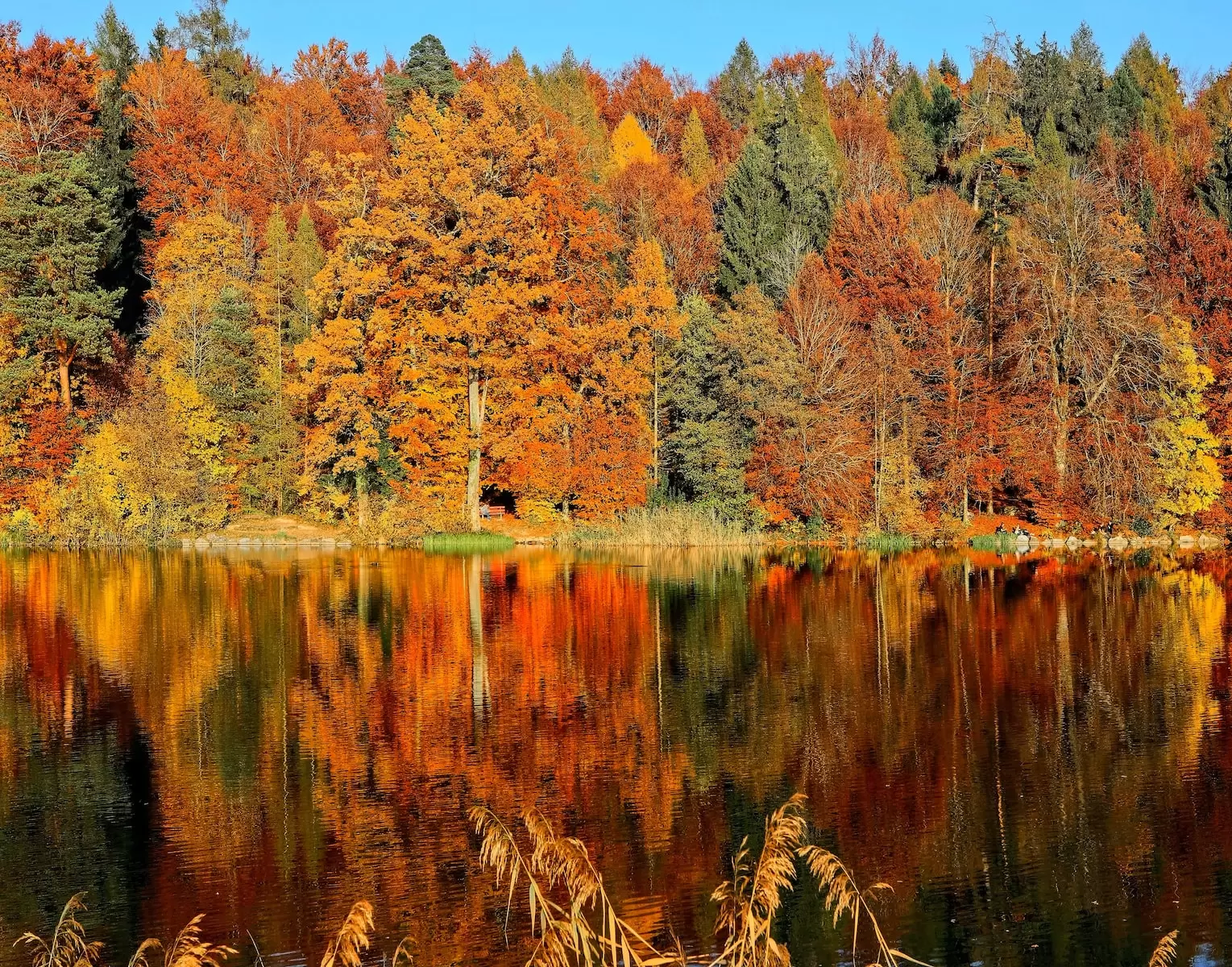 autumn in kashmir