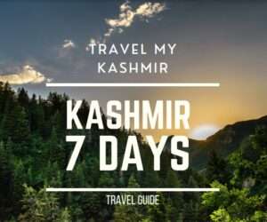 7 days kashmir package