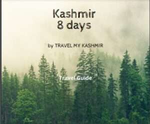 8 days kashmir package
