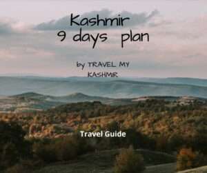 9 Days kashmir package