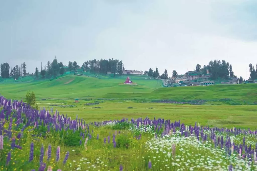 kashmir