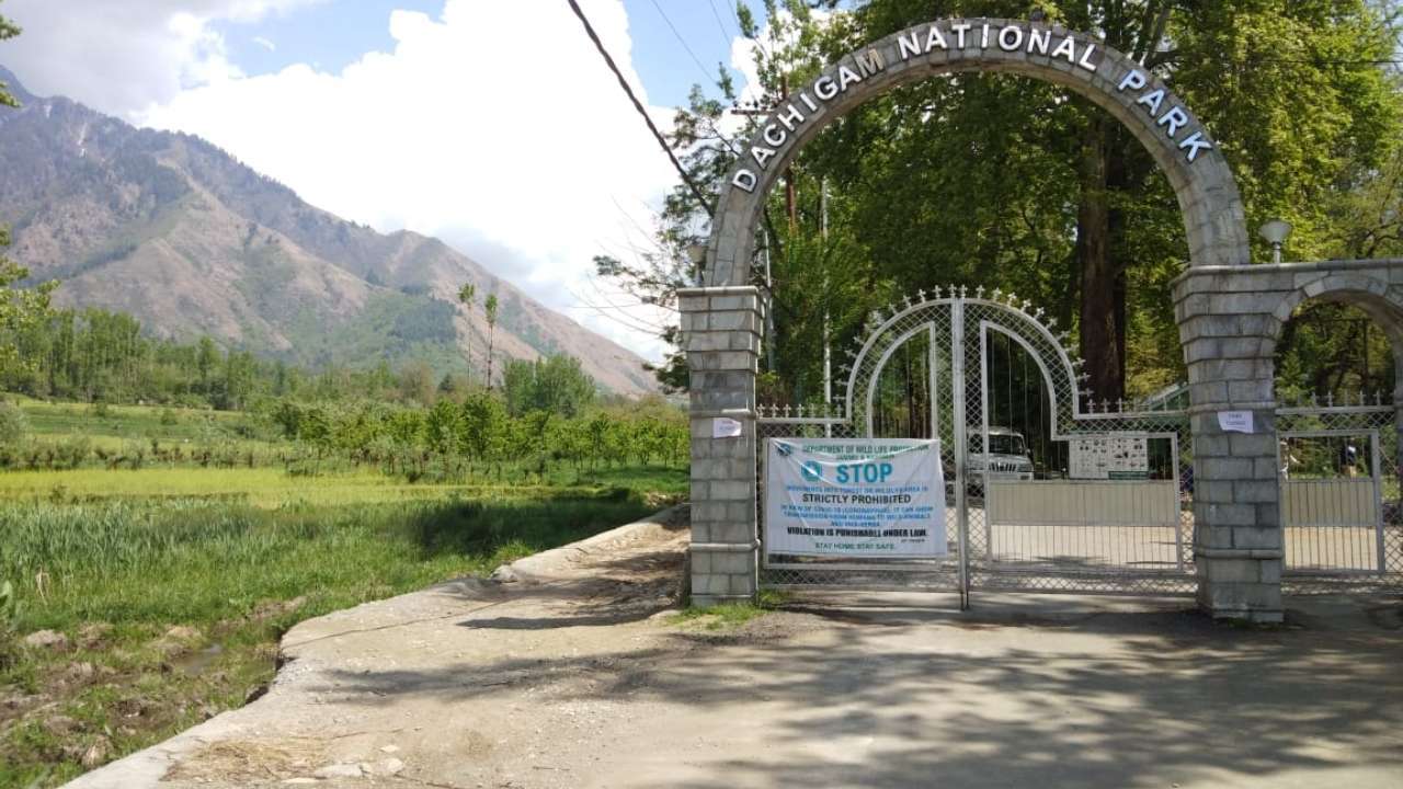 Dachigam national park Srinagar