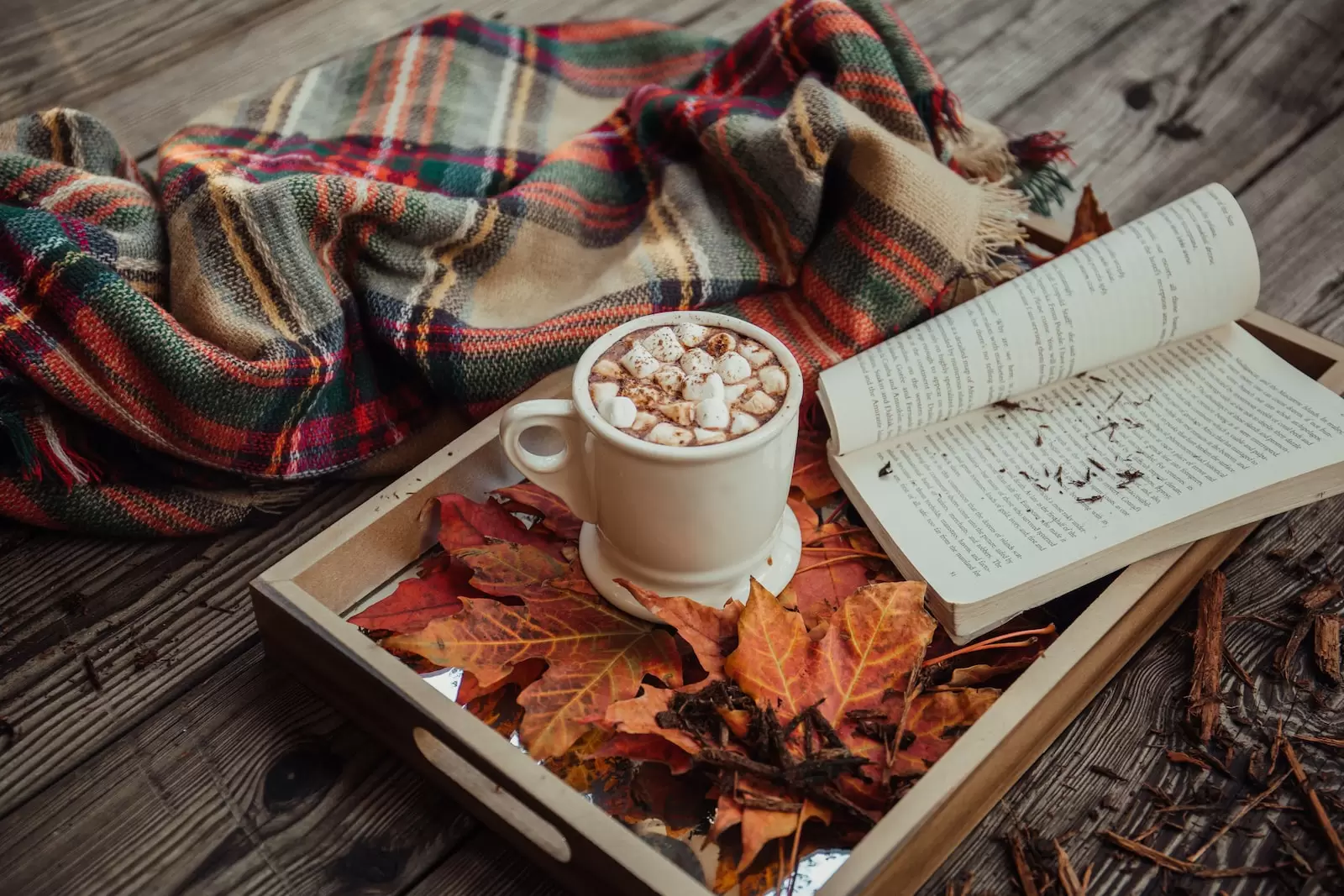 autumn in kashmir