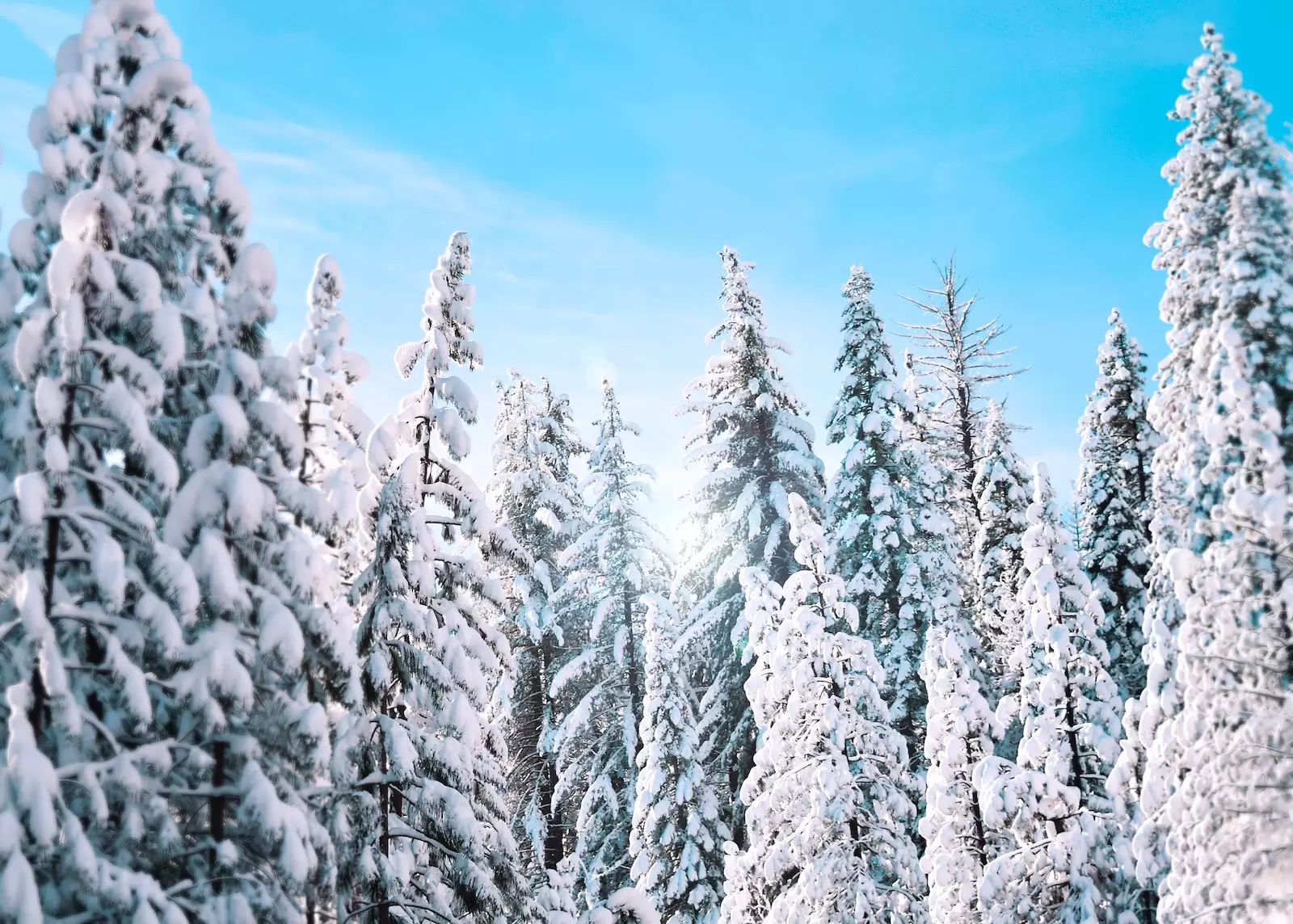 winter in kashmir