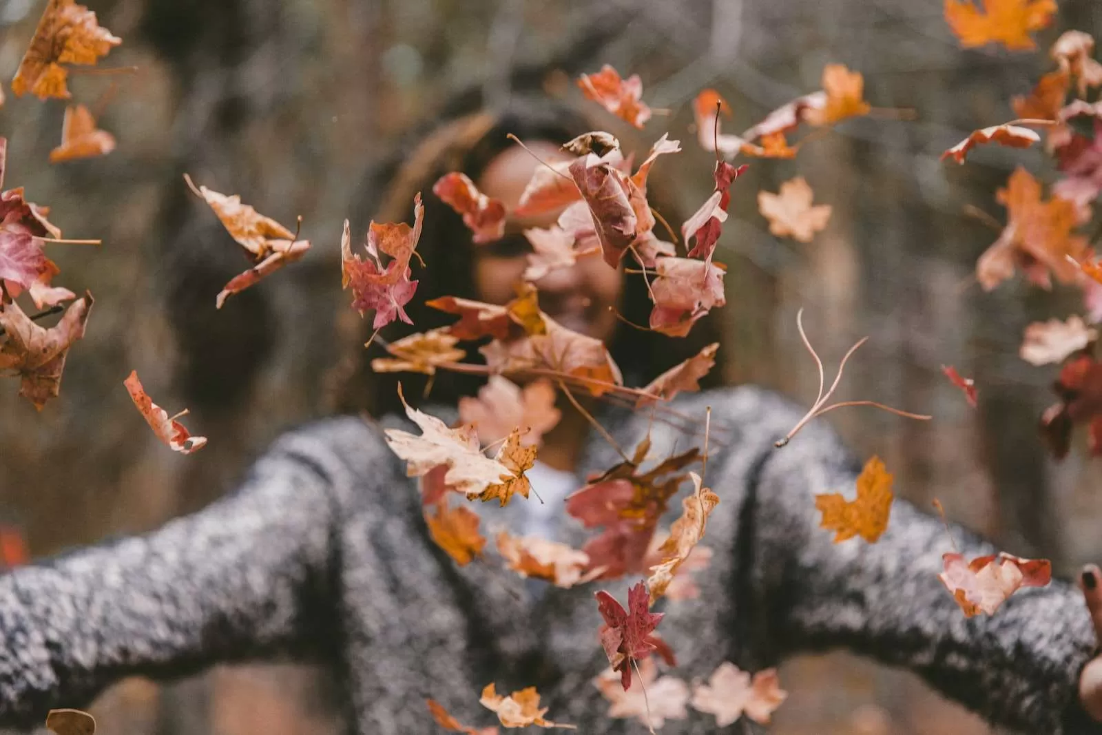 autumn in kashmir