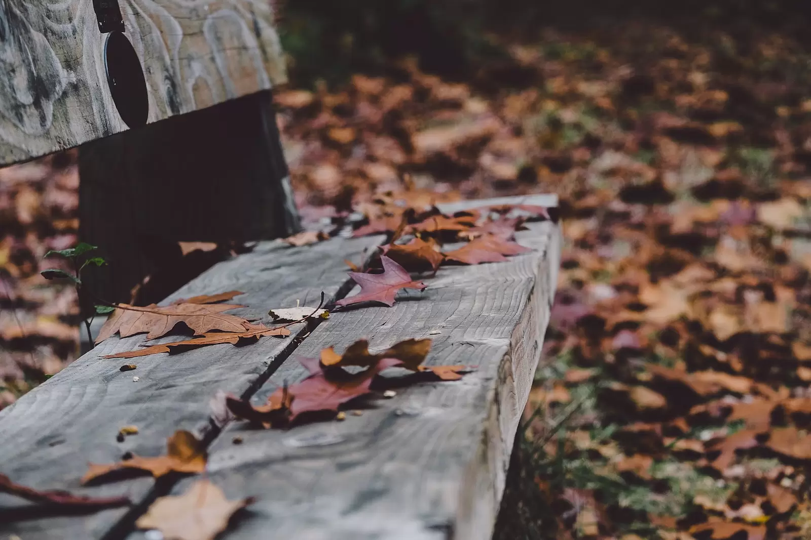 autumn in kashmir