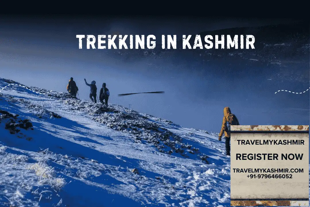 Trekking in Kashmir- Travel My Kashmir