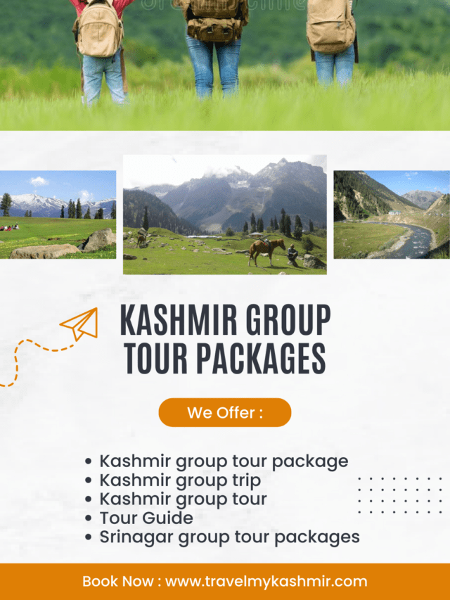group tour packages contact number