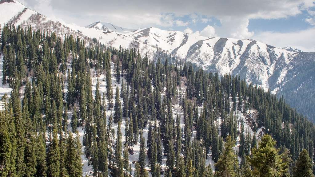unexplored places in Kashmir, sinthan top