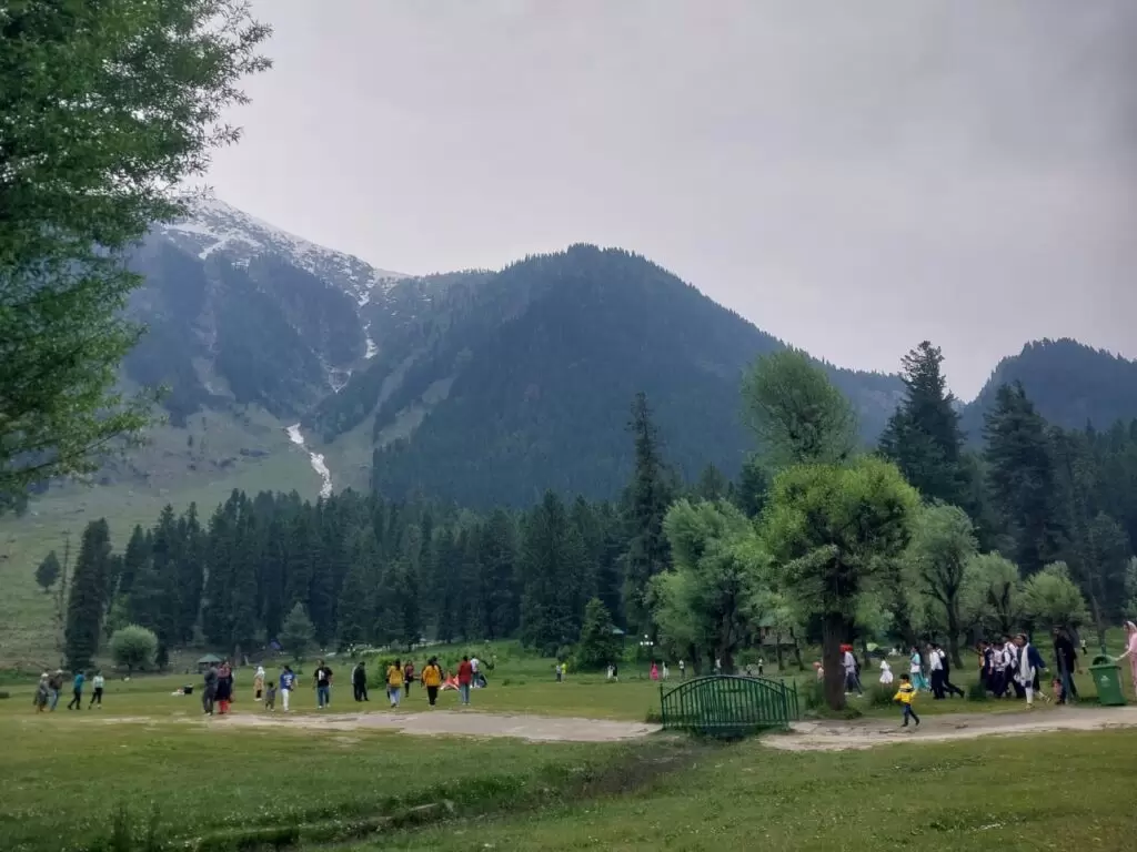 A beautiful view of Betaab valley Pahalgam