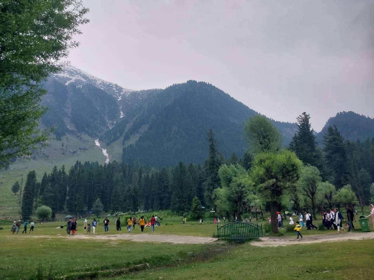 A beautiful view of Betaab valley pahalgam- Shallow Focus Photo of White almond flowers -Kashmir in March