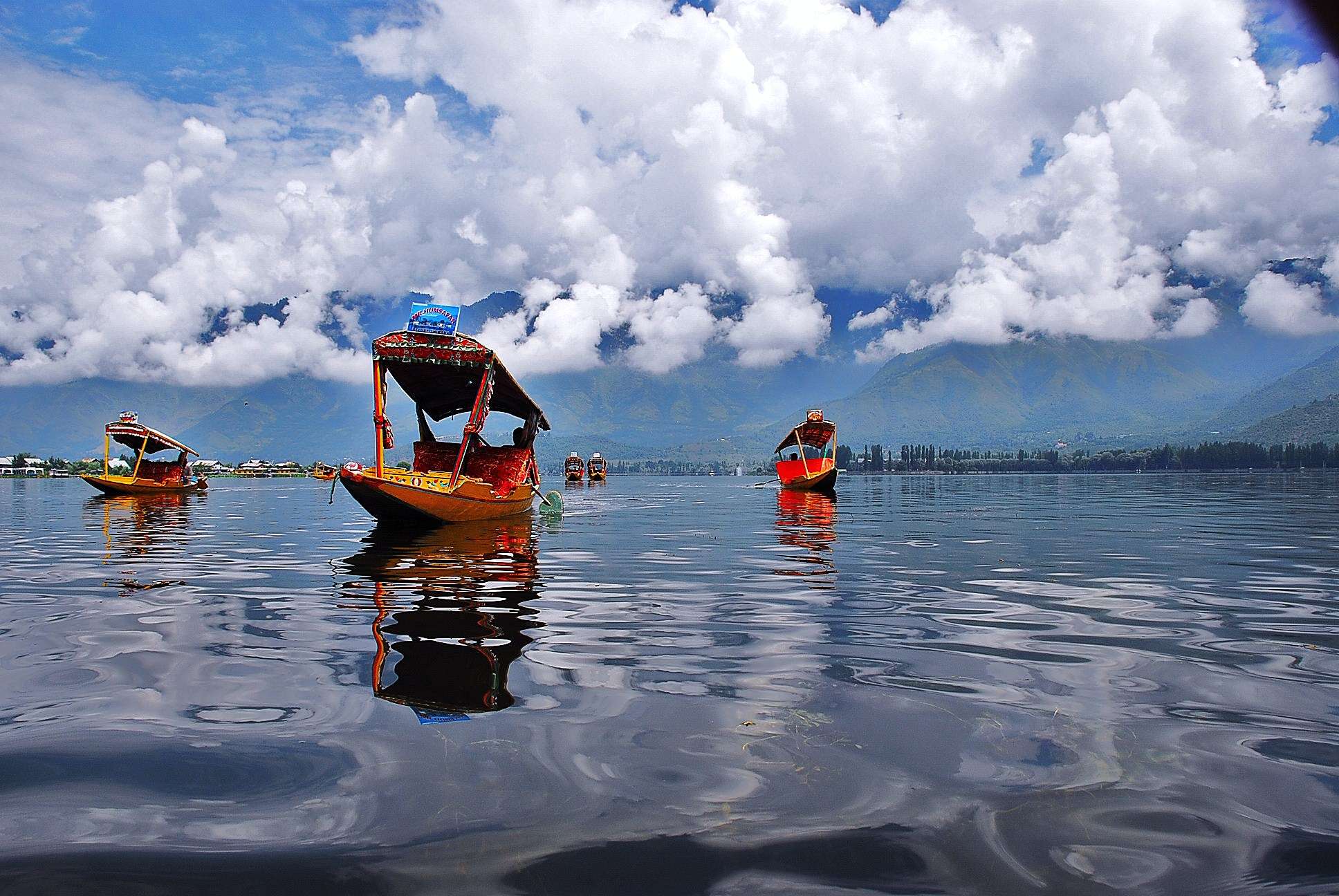 a beautiful photo of Shikara in Dal lake Srinagar