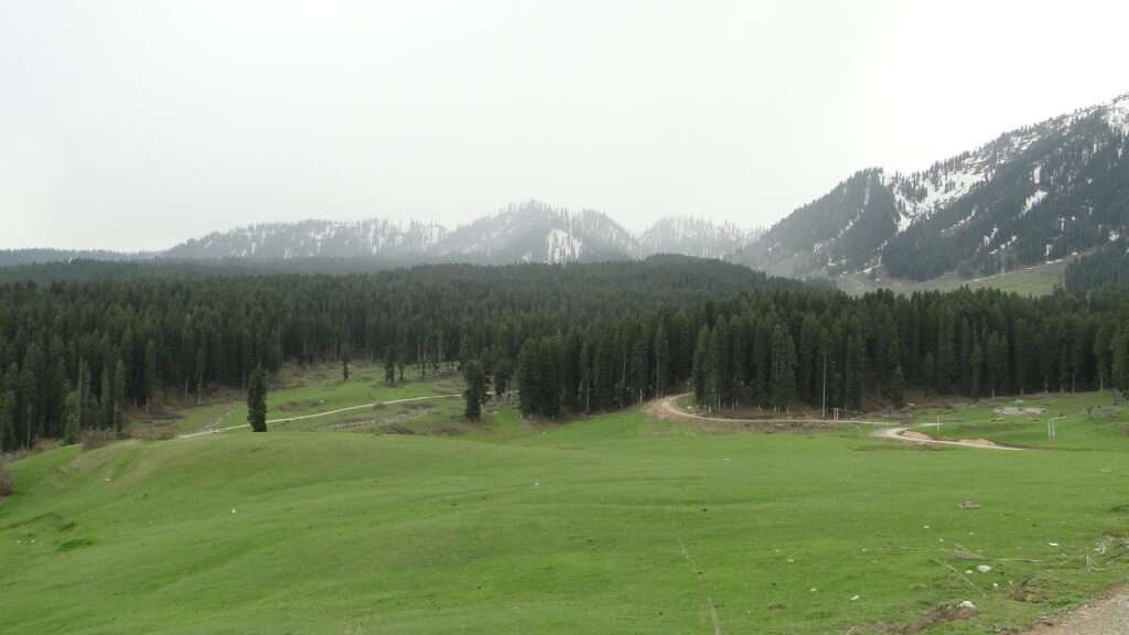 A scenic view of beautiful meadow of Kashmir