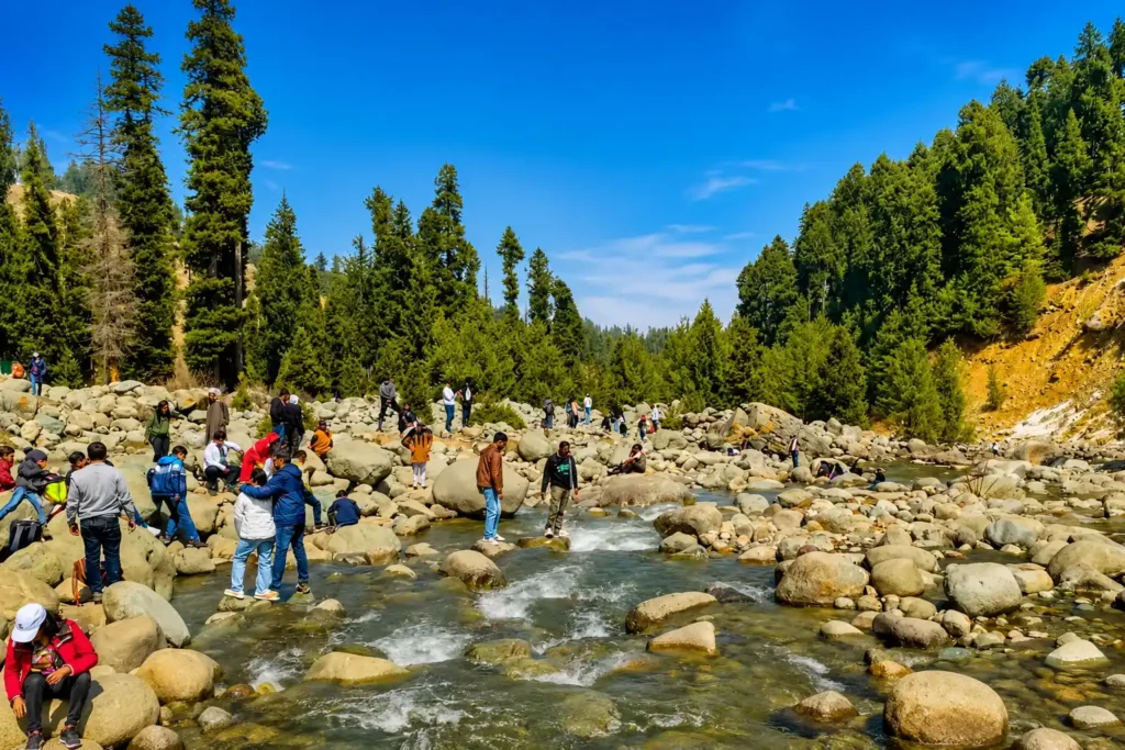 A view of Shalinganga river in Doodhpathri Budgam Kashmir