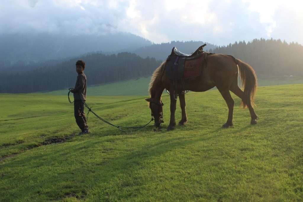 Pony wala waiting for tourist in Doodhpathri