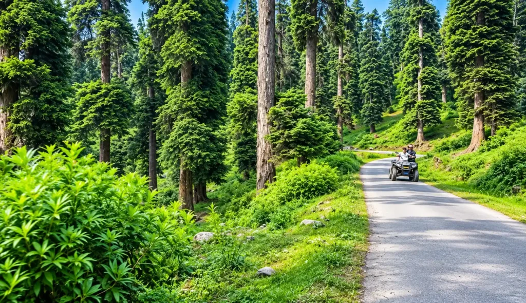 Drung waterfall road view