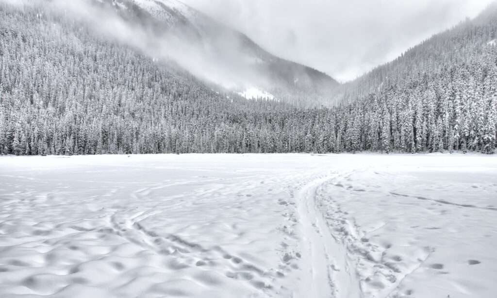 Landscape Photography of snowfall in kashmir