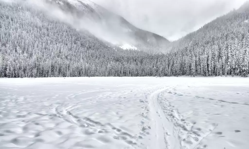 Landscape Photography of snowfall in kashmir