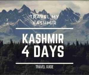 4 days kashmir package