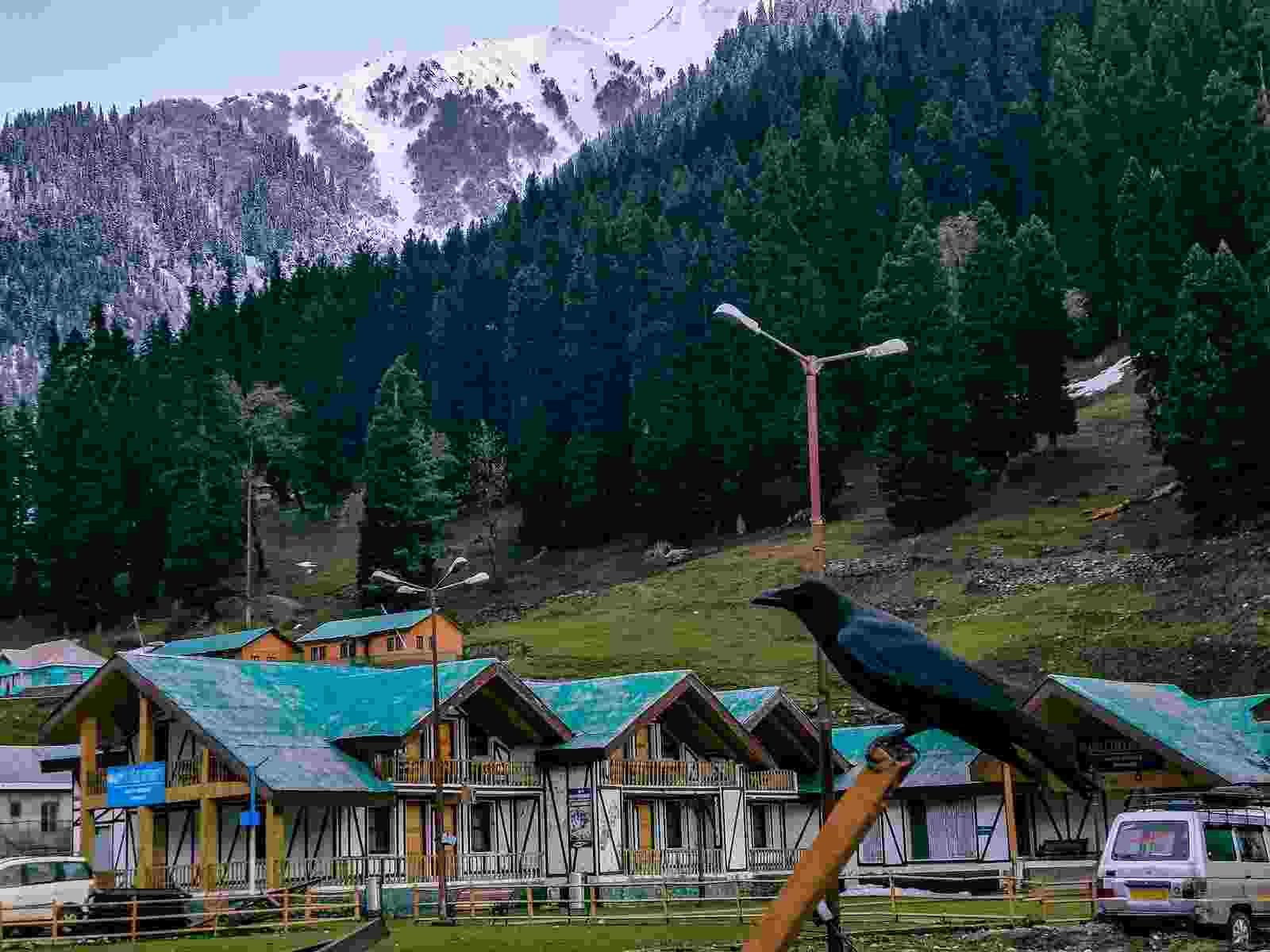 9 days kashmir tour plan