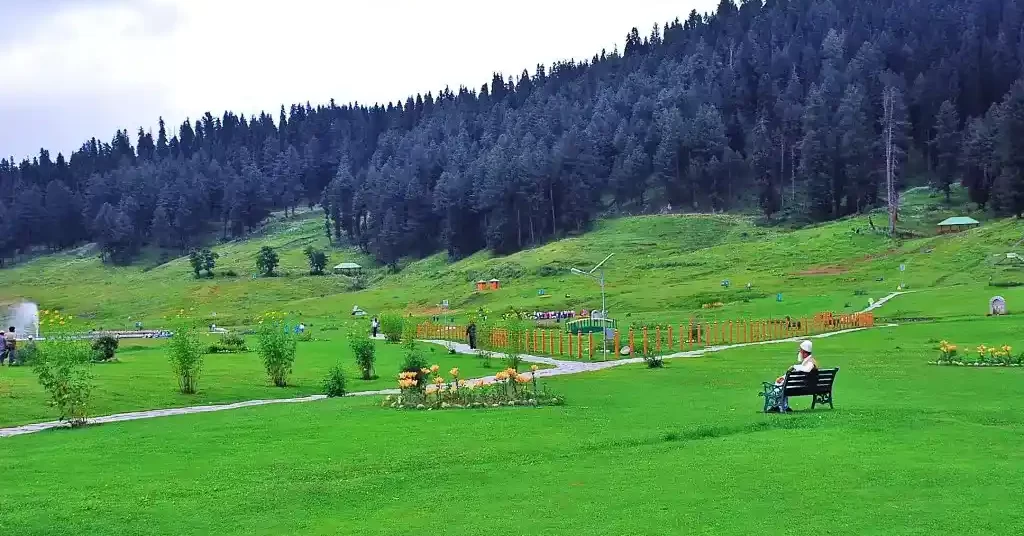 An old man sitting on bench in a park in Gulmarg with the forests as background, gulmarg tour guide