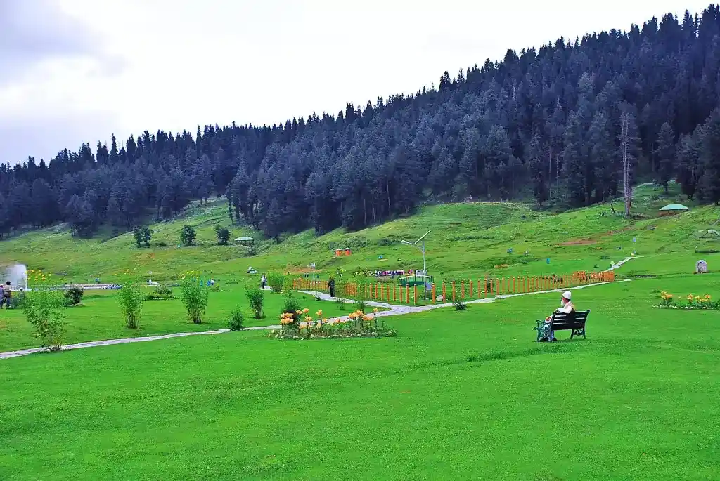 An old man sitting on bench in a park in Gulmarg with the forests as background, gulmarg tour guide