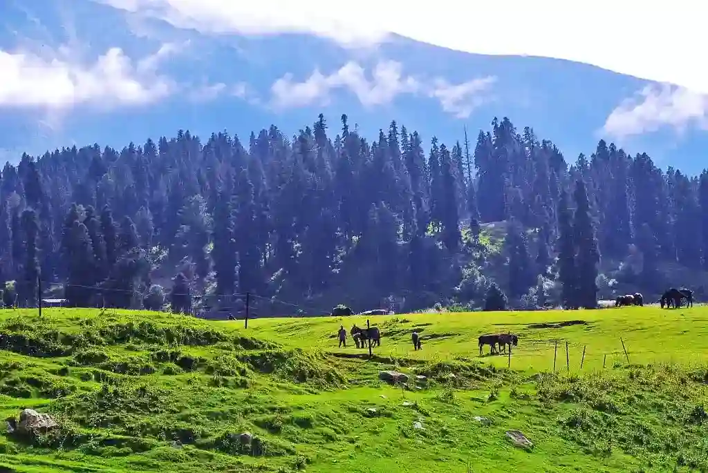 Gulmarg travel guide