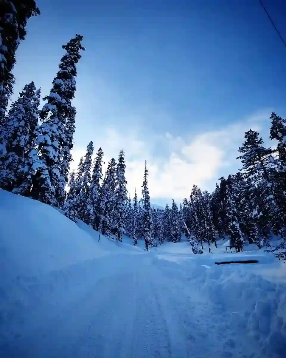 Gulmarg travel guide