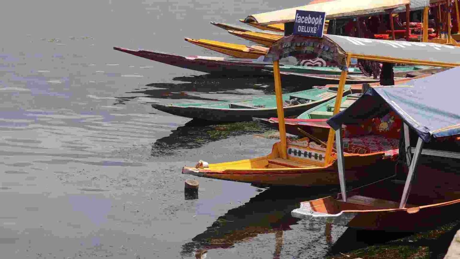 shikara's waiting for guests in Dal lake Srinagar
