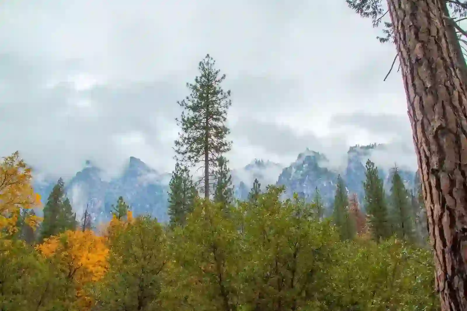 Baisaran valley pahalgam