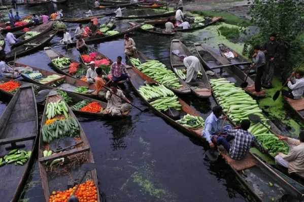 Floating market dal lake-Top Activities to Enjoy While Staying on a Houseboat in Srinagar