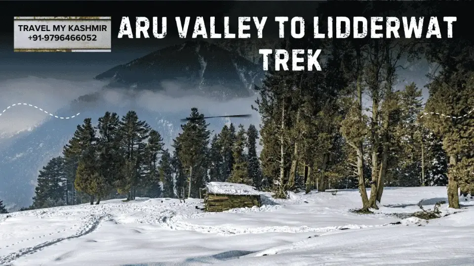 Aru Valley to Lidderwat- Short treks in Kashmir