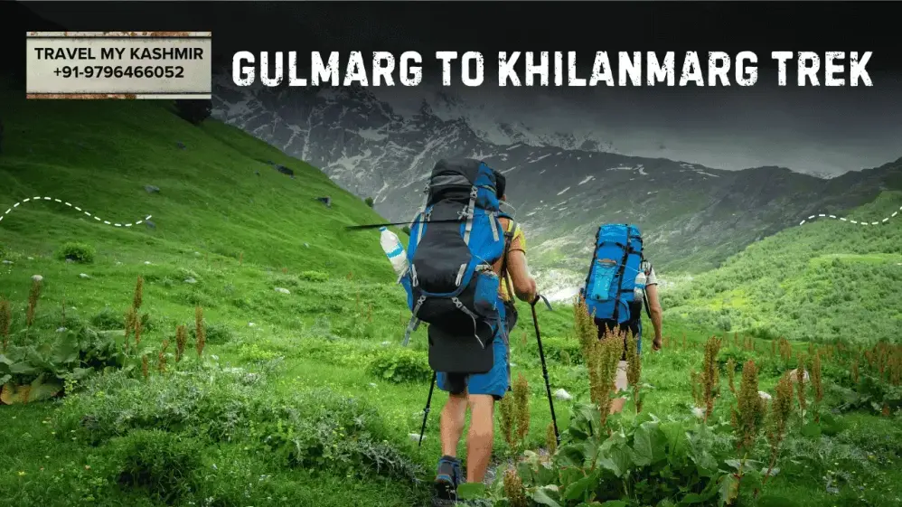 Gulmarg to Khilanmarg Trek- short treks in kashmir