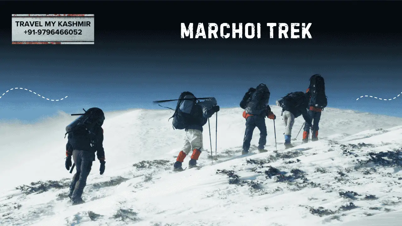 Marchoi Trek- Winter trek in kashmir