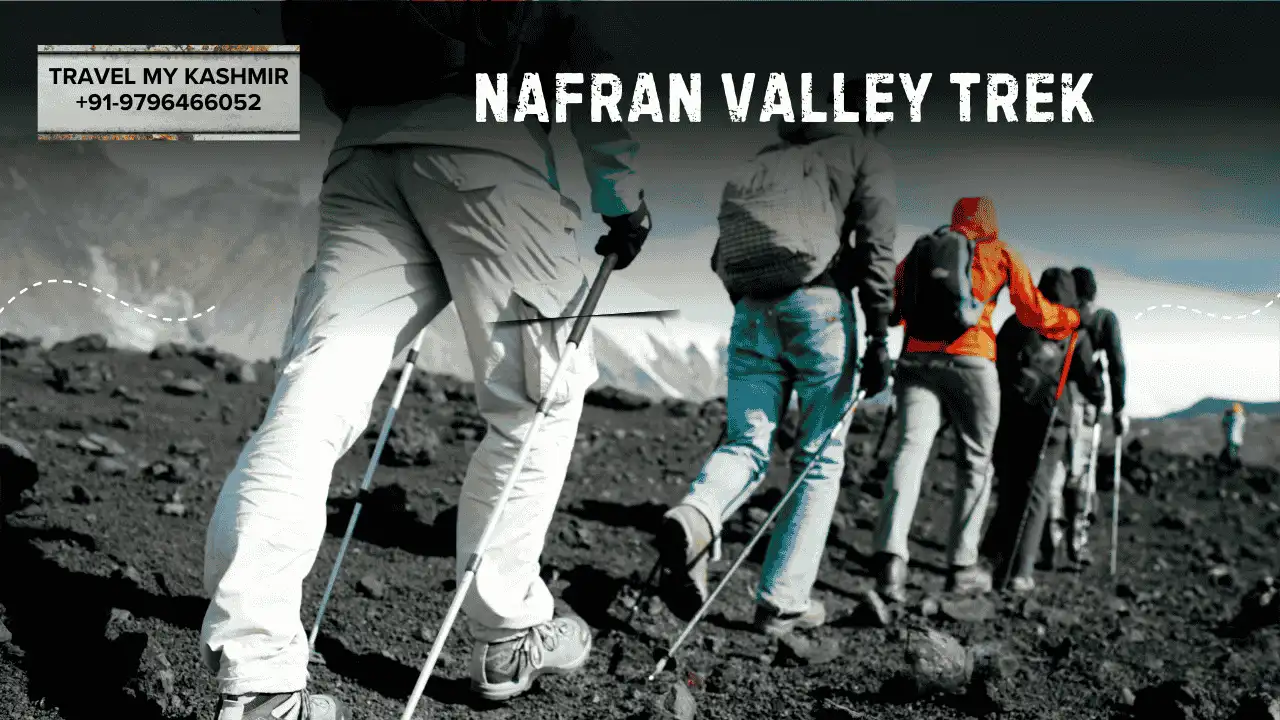 Nafran Valley Trek- short treks kashmir