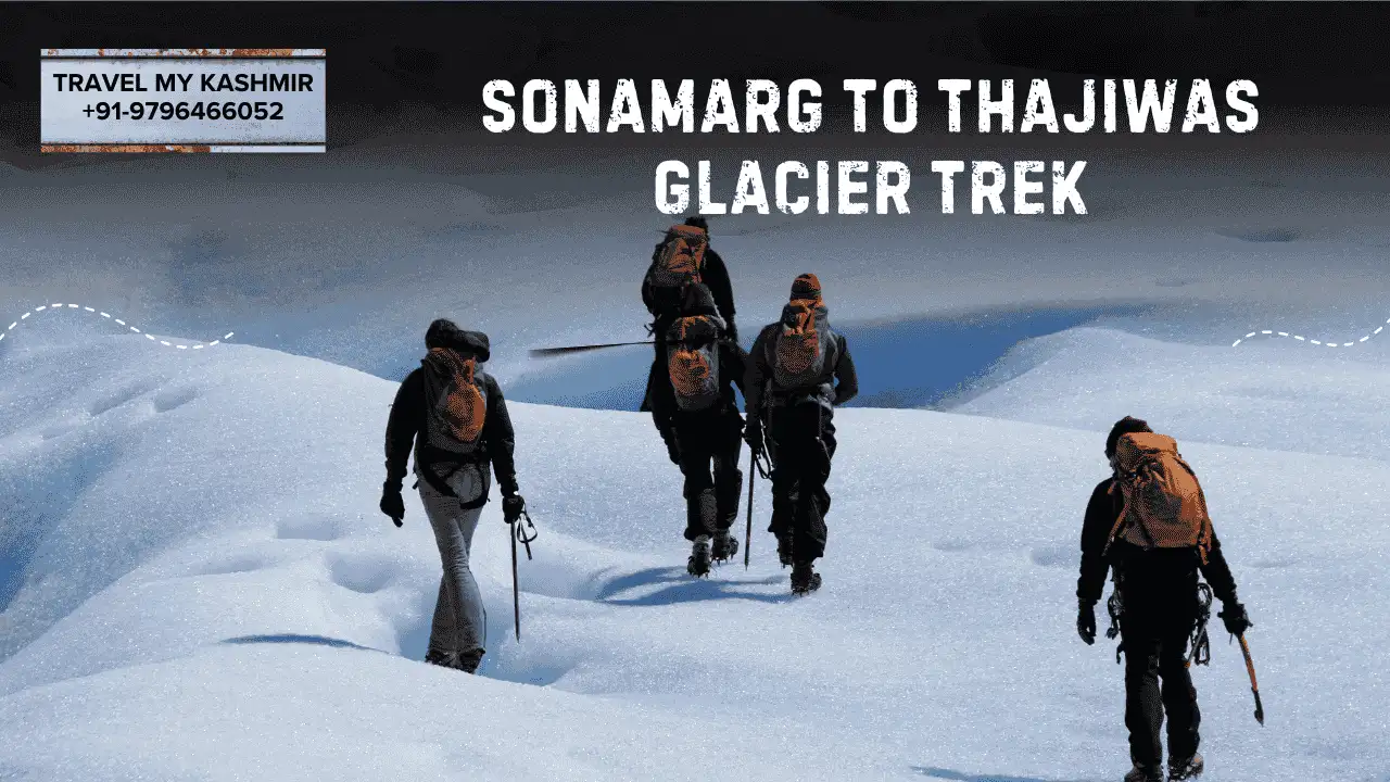 Sonamarg to Thajiwas Glacier Trek- winter treks in kashmir