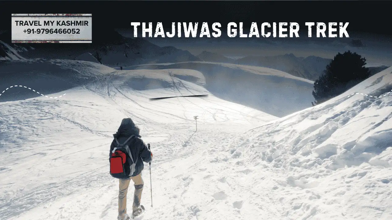 Thajiwas Glacier Trek- kashmir short treks