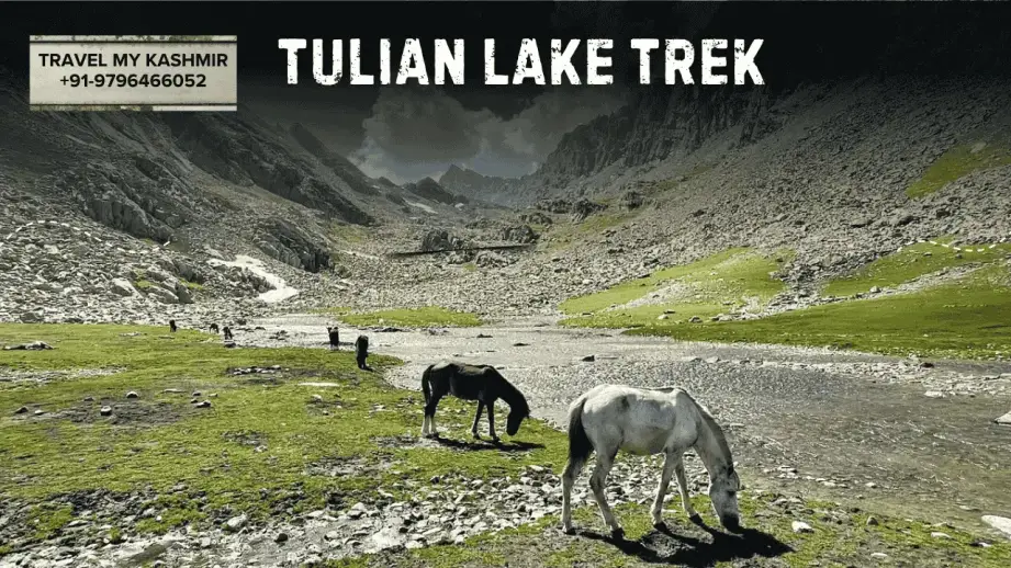 Tulian Lake Trek- Trekking in Kashmir