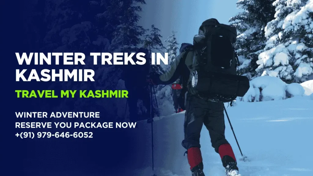 Winter Treks in Kashmir