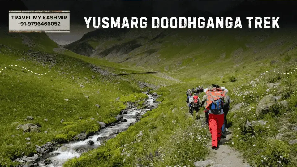 Yusmarg Trek- Short treks in Kashmir