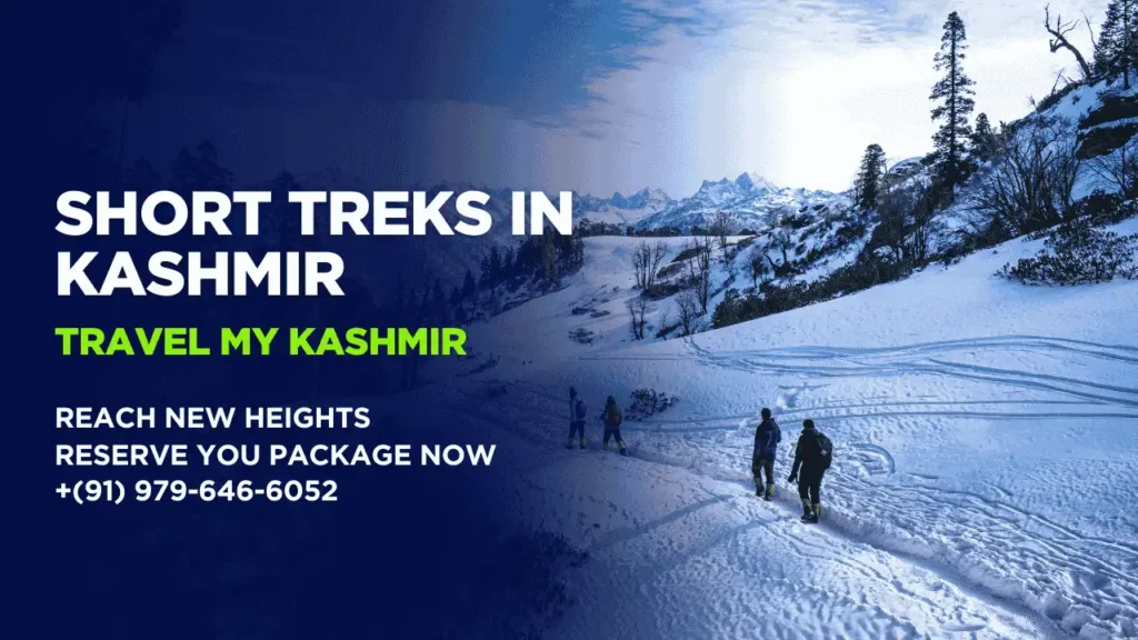 Best Short Treks in Kashmir