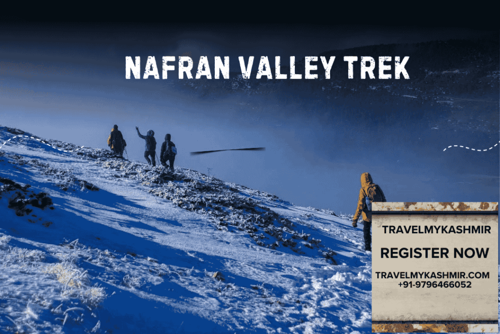 Nafran valley trek by Travel My Kashmir