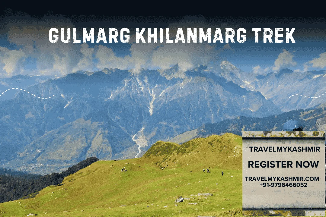 Gulmarg Khilanmarg trekking- Travel My Kashmir