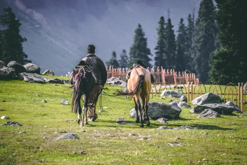 Sonmarg in Summer- Best time to visit sonmarg
