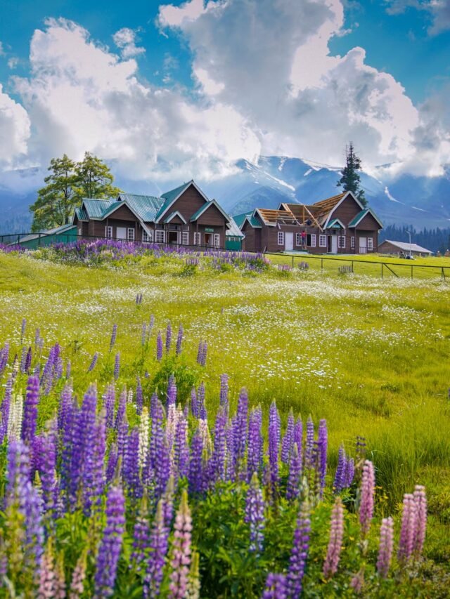 5 Magical Places in Kashmir You MUST Visit This May!