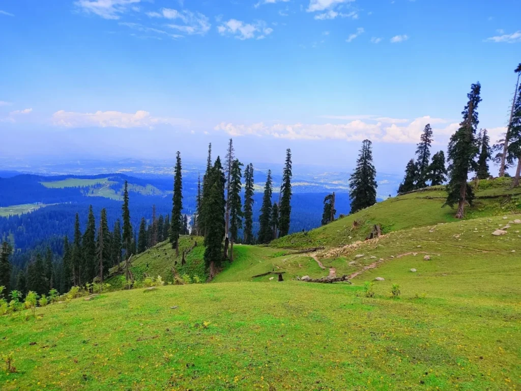 Kashmir Tour Plan 7 Nights 8 Days by Travel My Kashmir